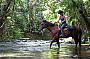 Experienced Horse Ride