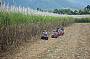 ATV Quad Bike Riding-Highlights Tour