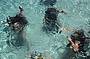 Open Water Dive Course - 5 Day