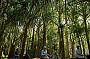 Horse Riding Highlights Tour