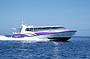 Skedaddle Half Day Outer Reef Jet Boat Tour