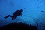 Advanced Dive Course - 3 D/ 2 N (must be a certified open water diver prior to course)