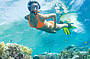 Snorkelling at Fitzroy Island